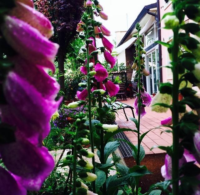 فيلافرانكا دي فيرونا Bed And Breakfast Villa Franca المظهر الخارجي الصورة